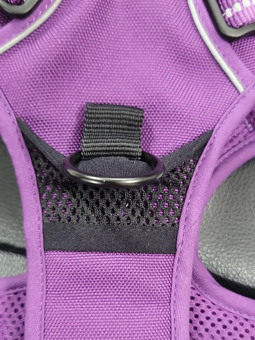 Purple Mesh Dog Harness for Kids Accessories